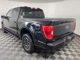 Thumbnail of 2023 Agate Black Metallic Ford F-150