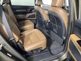 Thumbnail of 2020 Dark Moss Kia Telluride