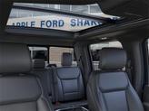 Thumbnail of 2025 Blue Ford F-150
