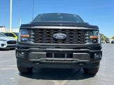 Thumbnail of 2025 Agate Black Metallic Ford F-150