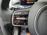 Thumbnail of 2025 Panthera Metal Kia Sorento