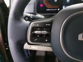 Thumbnail of 2026 Panthera Metal Kia Carnival