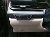 Thumbnail of 2026 Panthera Metal Kia Carnival