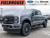 Photo of 2025 Carbonized Gray Metallic Ford F-250