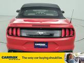 Thumbnail of 2019 Red Ford Mustang