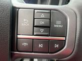 Thumbnail of 2025 Carbonized Gray Metallic Ford F-150