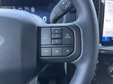 Thumbnail of 2025 Carbonized Gray Metallic Ford F-150