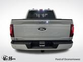 Thumbnail of 2024 Avalanche Gray Ford F-150