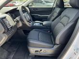 Thumbnail of 2025 QBE Everest WH Nissan Pathfinder