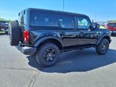 Thumbnail of 2025 Shadow Black Ford Bronco