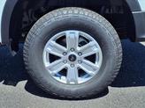 Thumbnail of 2025 Oxford White Ford Ranger