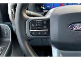 Thumbnail of 2024 Avalanche Ford F-150