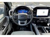 Thumbnail of 2024 Avalanche Ford F-150