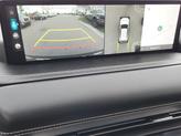 Thumbnail of 2024 Vik Black Genesis GV80