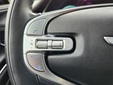 Thumbnail of 2024 Vik Black Genesis GV80