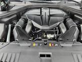 Thumbnail of 2024 Vik Black Genesis GV80