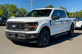 Thumbnail of 2025 Oxford White Ford F-150