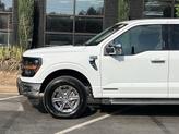 Thumbnail of 2024 OXFORD WHITE Ford F-150