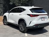 Thumbnail of 2024 Eminent White Pearl Lexus NX 250