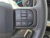 Thumbnail of 2023 Gray Metallic Ford F-150