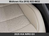 Thumbnail of 2025 Interstellar Gray Kia Niro
