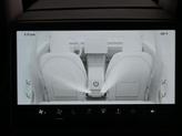 Thumbnail of 2025 Pearl White Multi-Coat Tesla Model 3