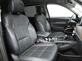 Thumbnail of 2022 Dark Moss Kia Telluride