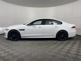 Thumbnail of 2024 Fuji White Jaguar XF