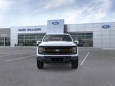 Thumbnail of 2025 Oxford White Ford F-150