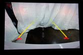 Thumbnail of 2021 Bright White Clearcoat Jeep Grand Cherokee L