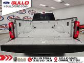 Thumbnail of 2025 Bronze Ford F-350