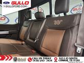 Thumbnail of 2025 Bronze Ford F-350