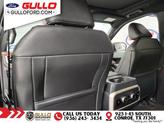 Thumbnail of 2023 Star White Ford Expedition