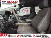 Thumbnail of 2024 Rapid Red Metallic Tinted Clearcoat Ford F-150