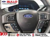 Thumbnail of 2019 Blue Ford F-250