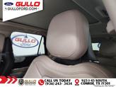 Thumbnail of 2023 Radiance Metallic Lincoln Navigator L