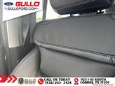 Thumbnail of 2023 Carbonized Gray Metallic Ford F-250
