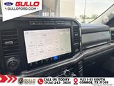 Thumbnail of 2023 Carbonized Gray Metallic Ford F-250