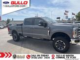 Thumbnail of 2023 Carbonized Gray Metallic Ford F-250