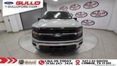 Thumbnail of 2024 Avalanche Ford F-150