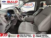 Thumbnail of 2024 Avalanche Ford F-150