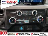 Thumbnail of 2024 Avalanche Ford F-150
