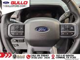 Thumbnail of 2024 Avalanche Ford F-150