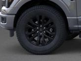 Thumbnail of 2025 Carbonized Gray Metallic Ford F-150
