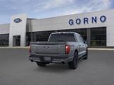 Thumbnail of 2025 Carbonized Gray Metallic Ford F-150