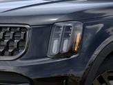Thumbnail of 2025 Ebony Black Kia Telluride