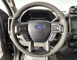 Thumbnail of 2020 Magnetic Ford F-350