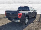 Thumbnail of 2023 Blue Metallic Ford F-150
