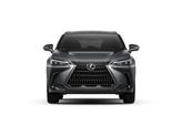 Thumbnail of 2025 Cloudburst Gray Lexus NX 250