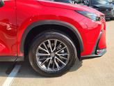 Thumbnail of 2023 Redline Lexus NX 350